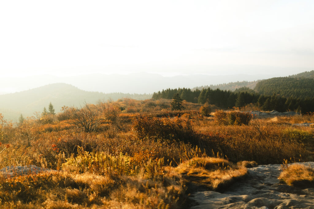 asheville elopement at black balsam knob