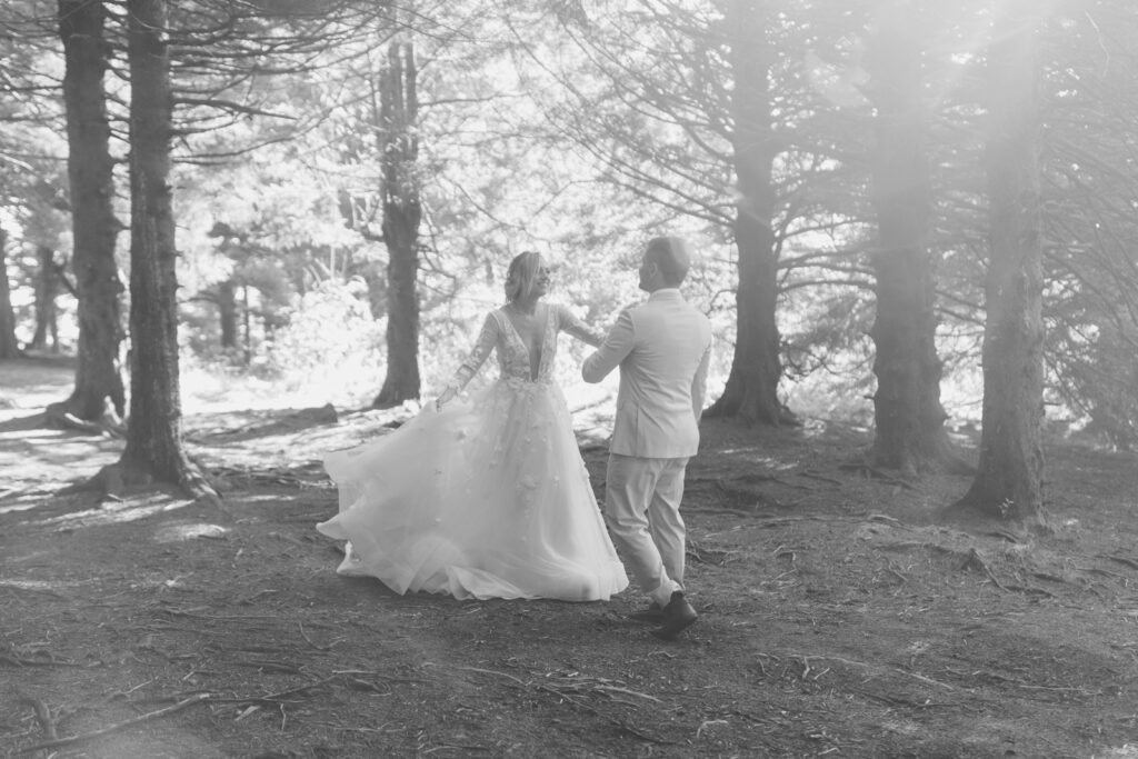 asheville elopement photographer at black balsam knob photographs couple eloping on the mountaintop